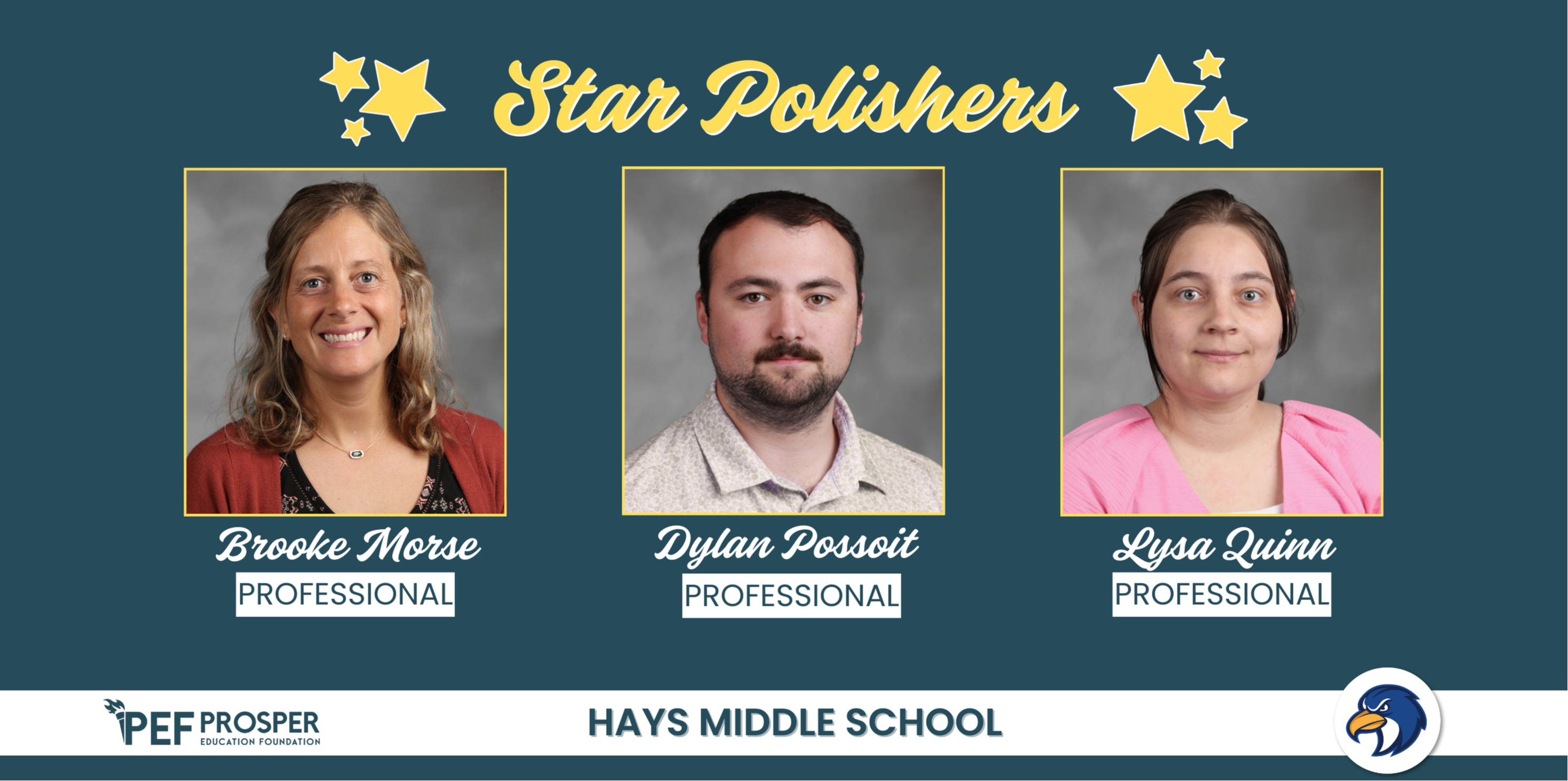 Professional Star Polisher