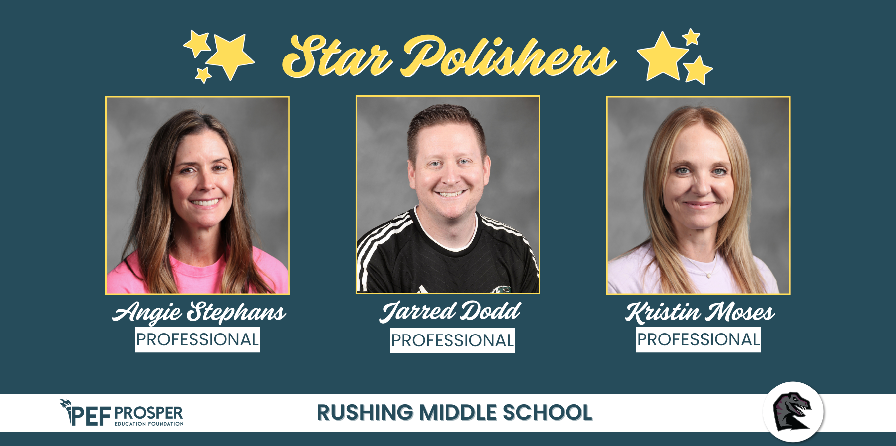 Professional Star Polishers