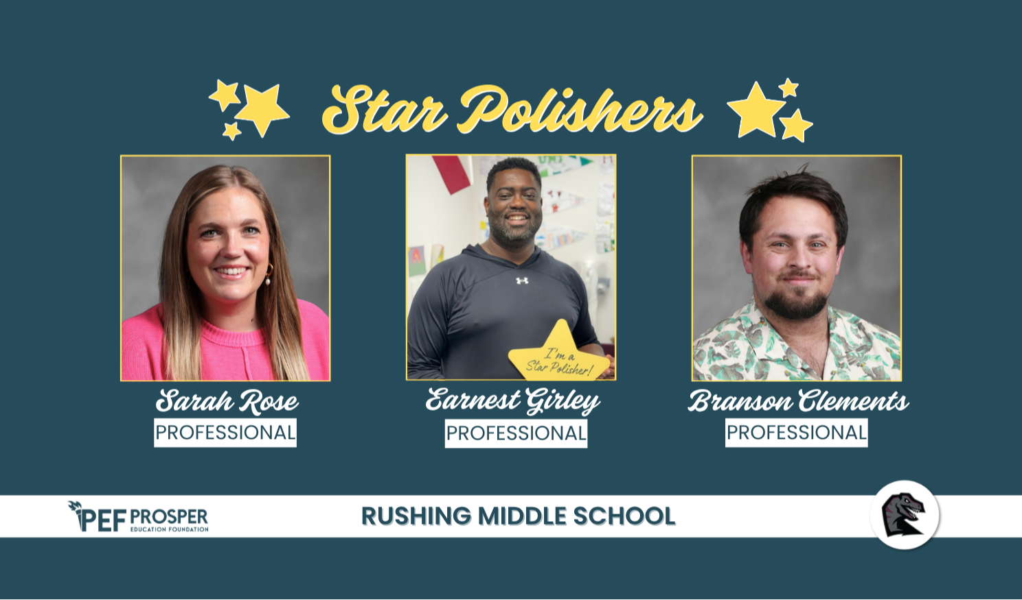 Professional Star Polishers