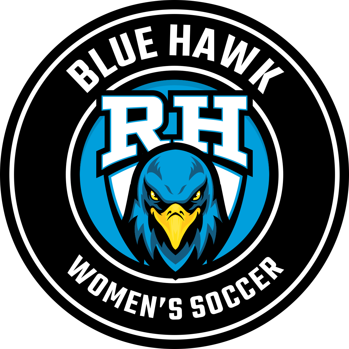 Rock Hill Blue Hawks logo