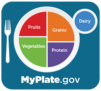 Myplate.gove Icon