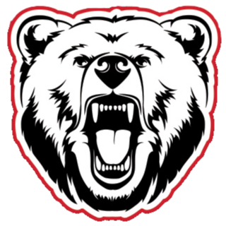 Bears