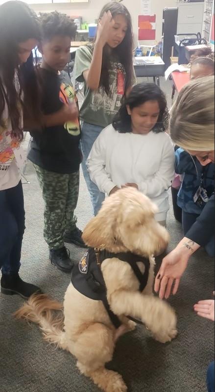 The Comfort Dog with the kids