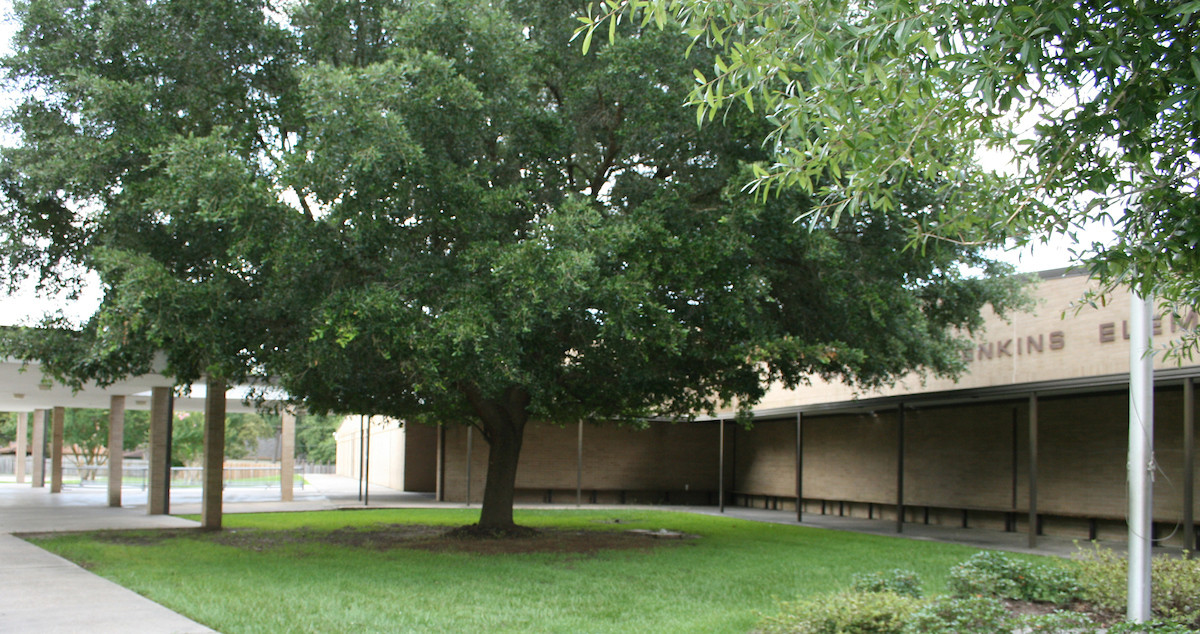 jenkins elementary school