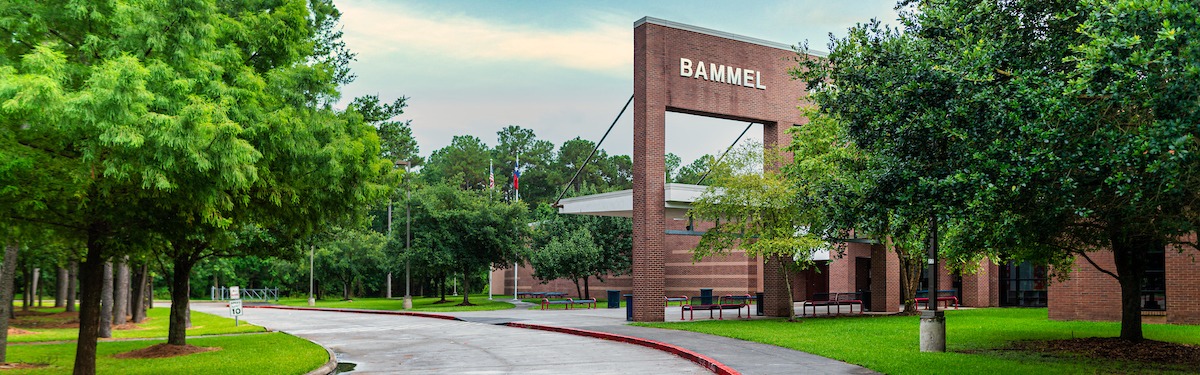 school for international studies at bammel photo