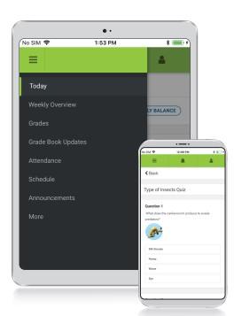 Mobile App display example