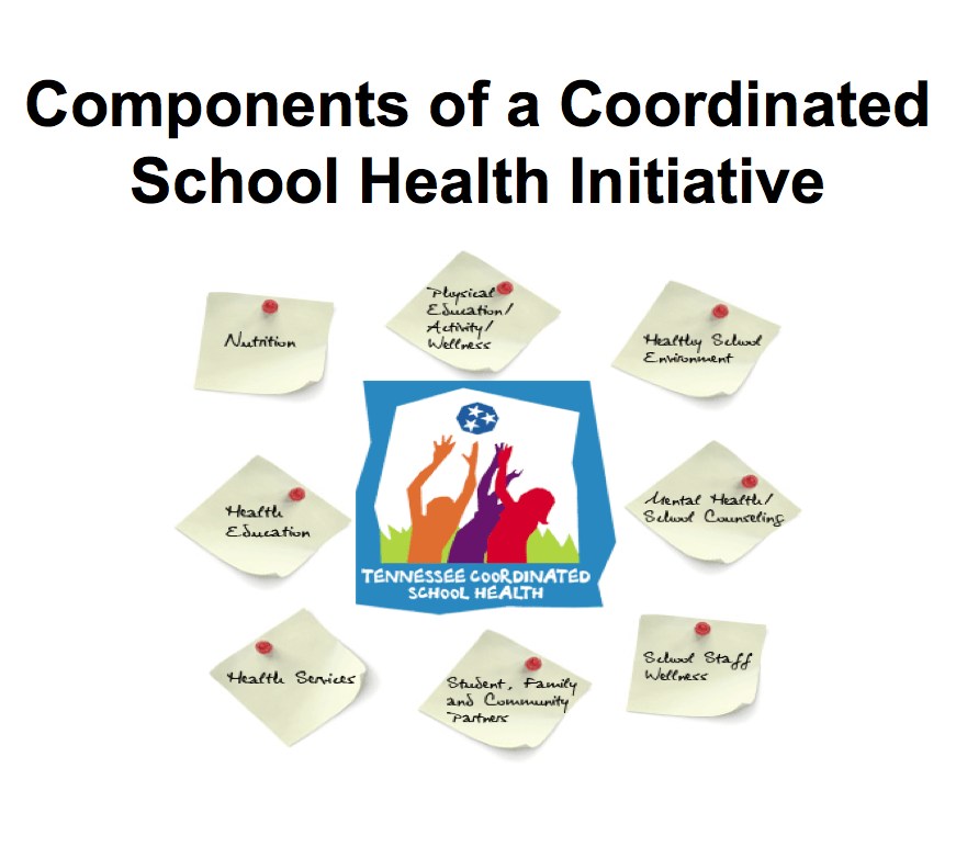 Image about the components of a coordinated school health initiative