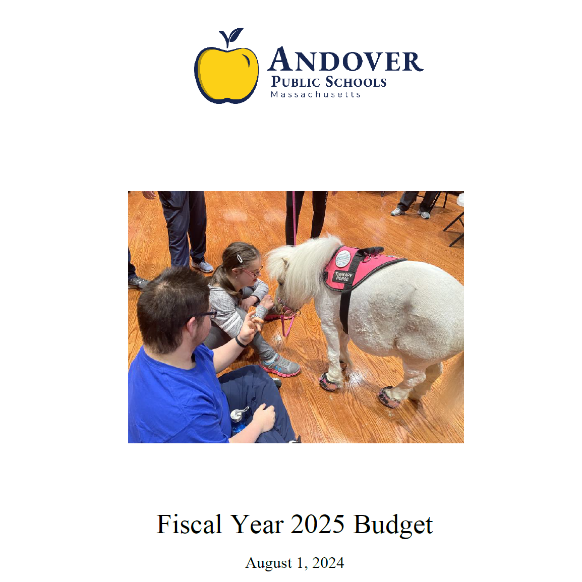 FY25 Budget Book