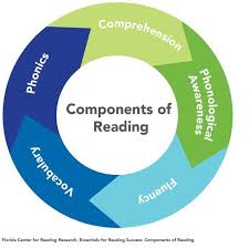 Components of Reading