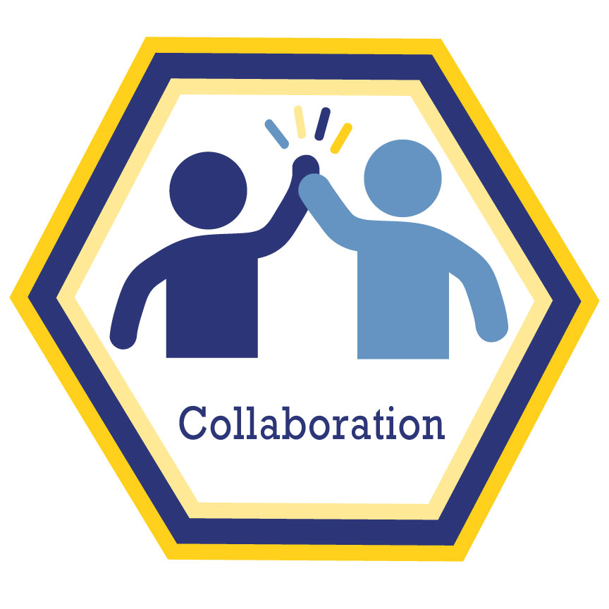VoG Collaboration
