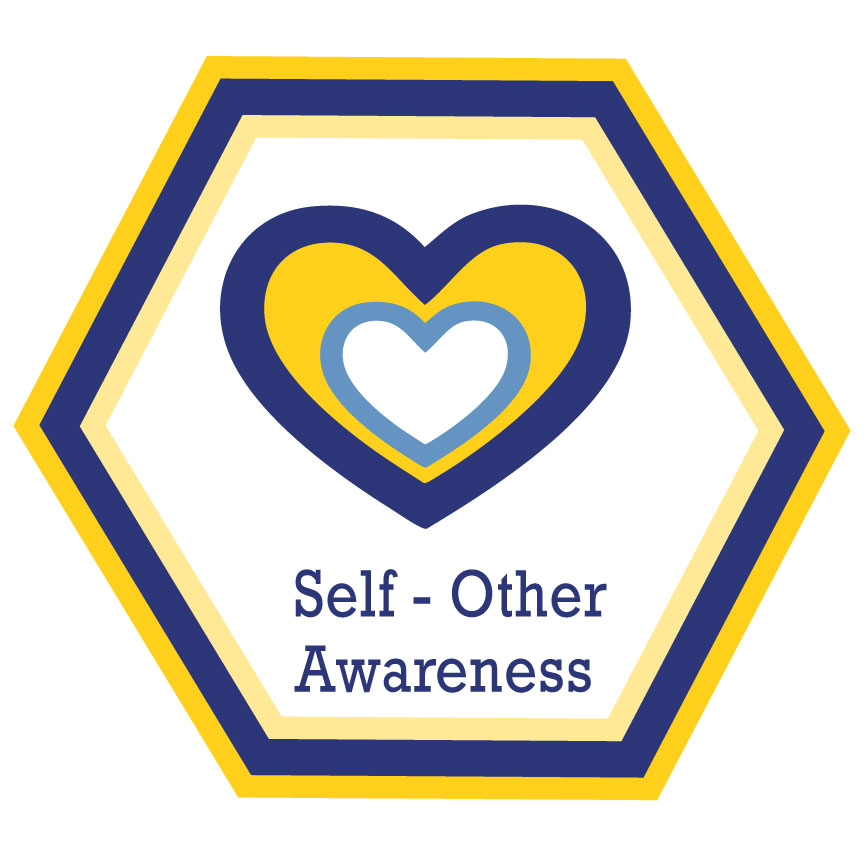 Self Other Awareness