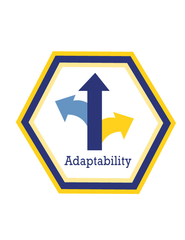 Adaptability