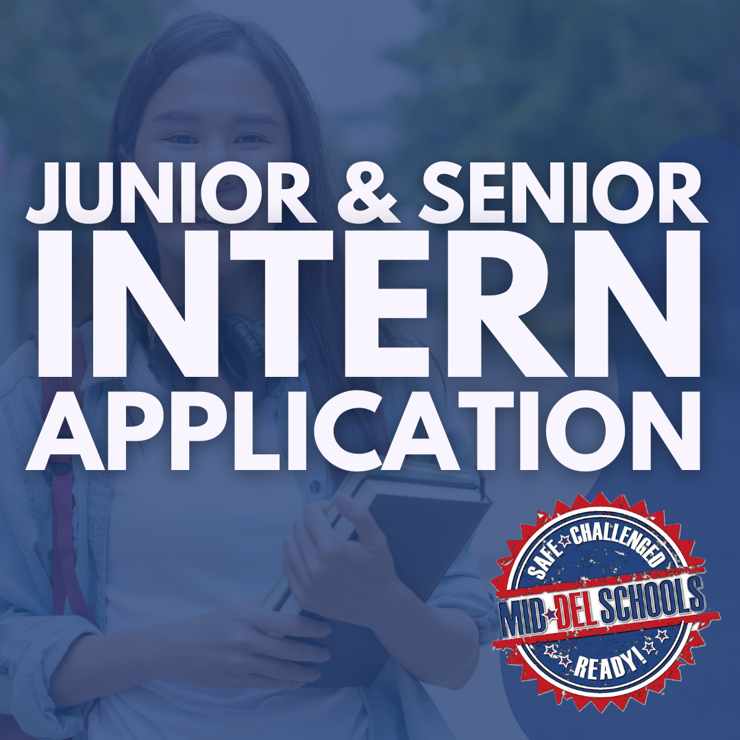 Junior and Senior Intern Application