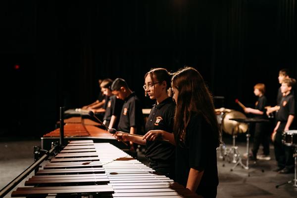 band picture in concert 