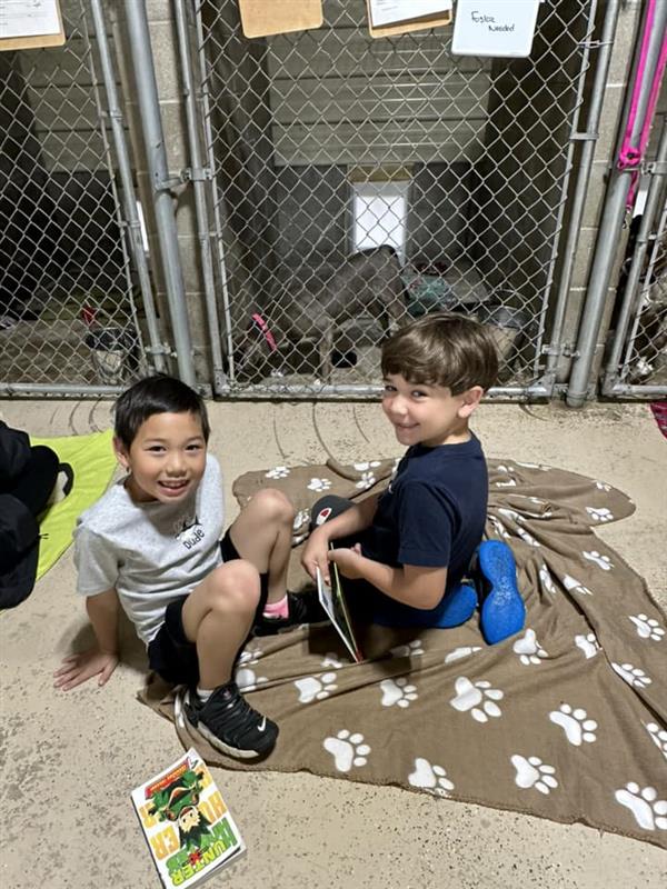 kids visiting dogs 