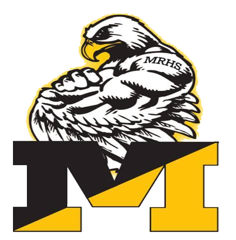Strong Falcon Logo