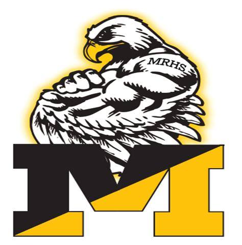 Falcon Logo