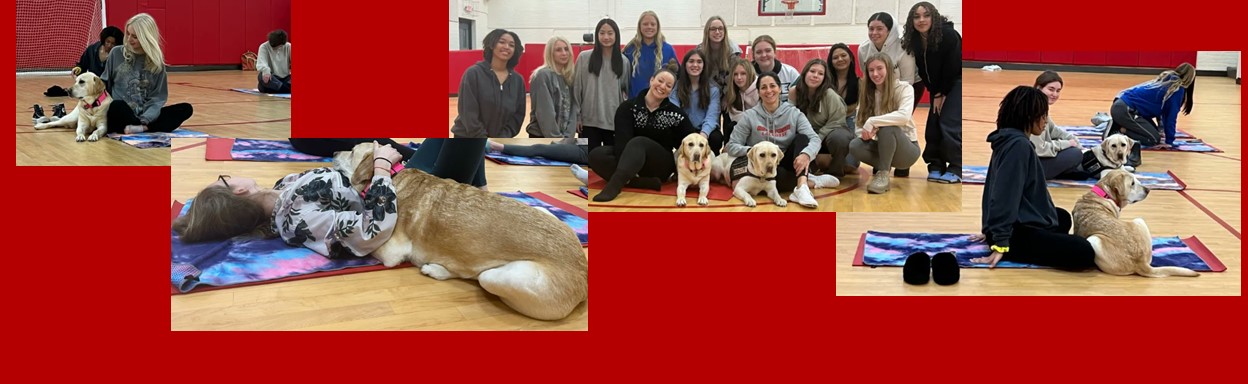 BHS Stretch Your Paws Event