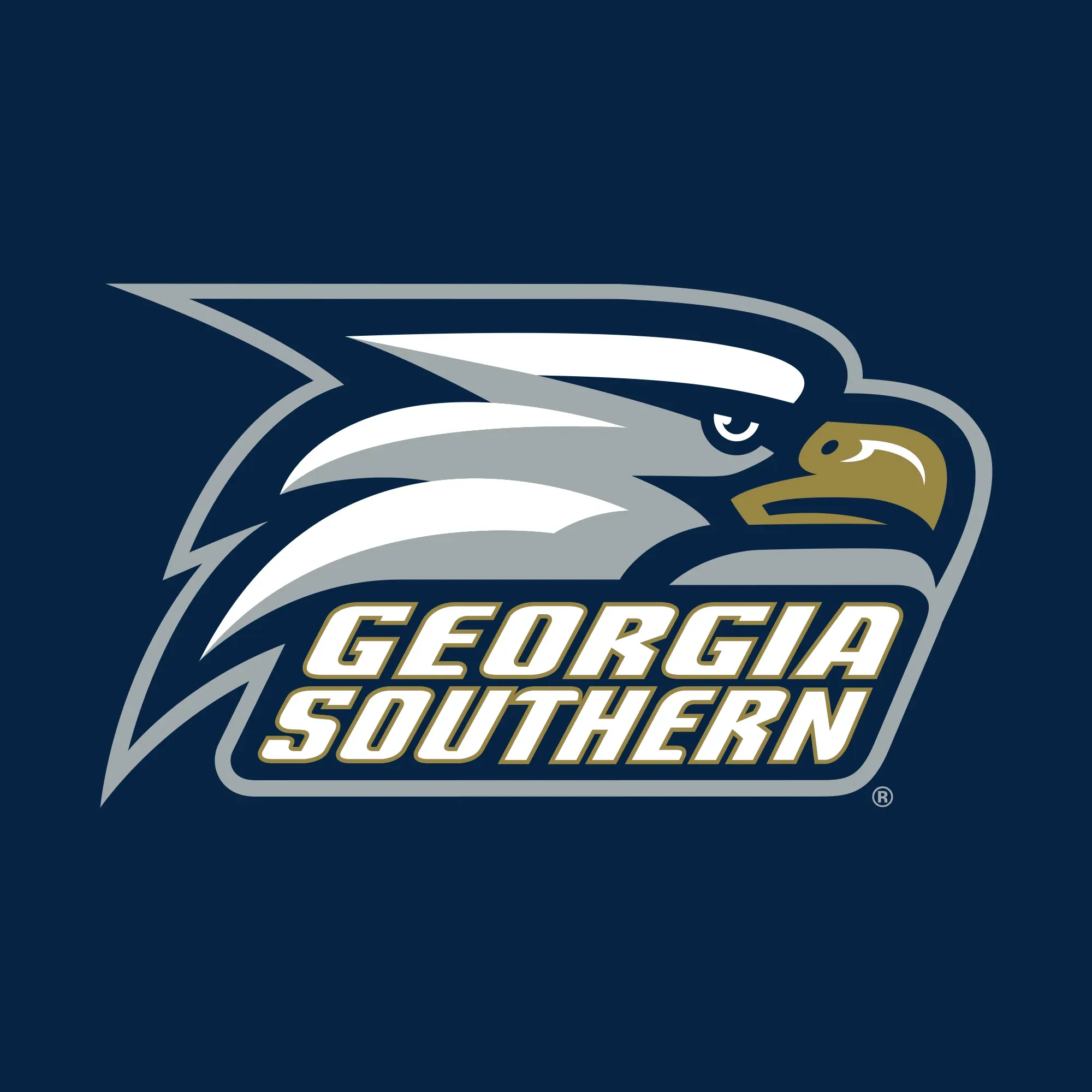Georgia Southern University