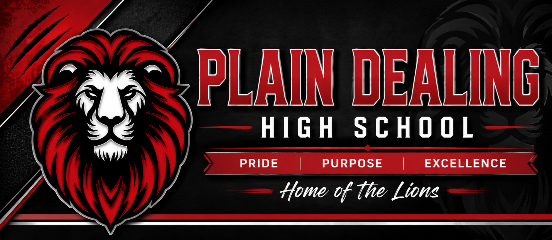 Picture of the Plain Dealing High School
