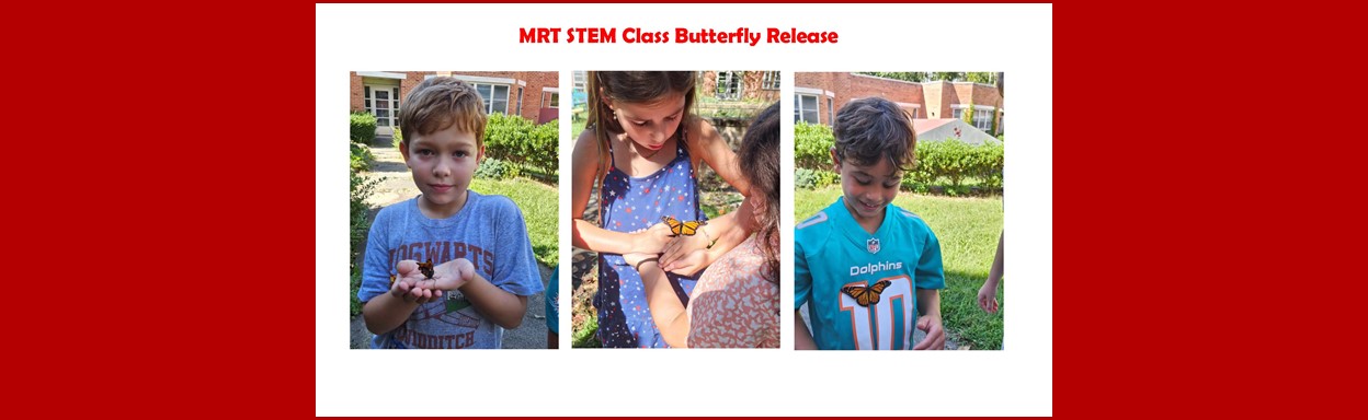 MRT Stem Class Butterfly Release
