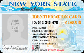 government id