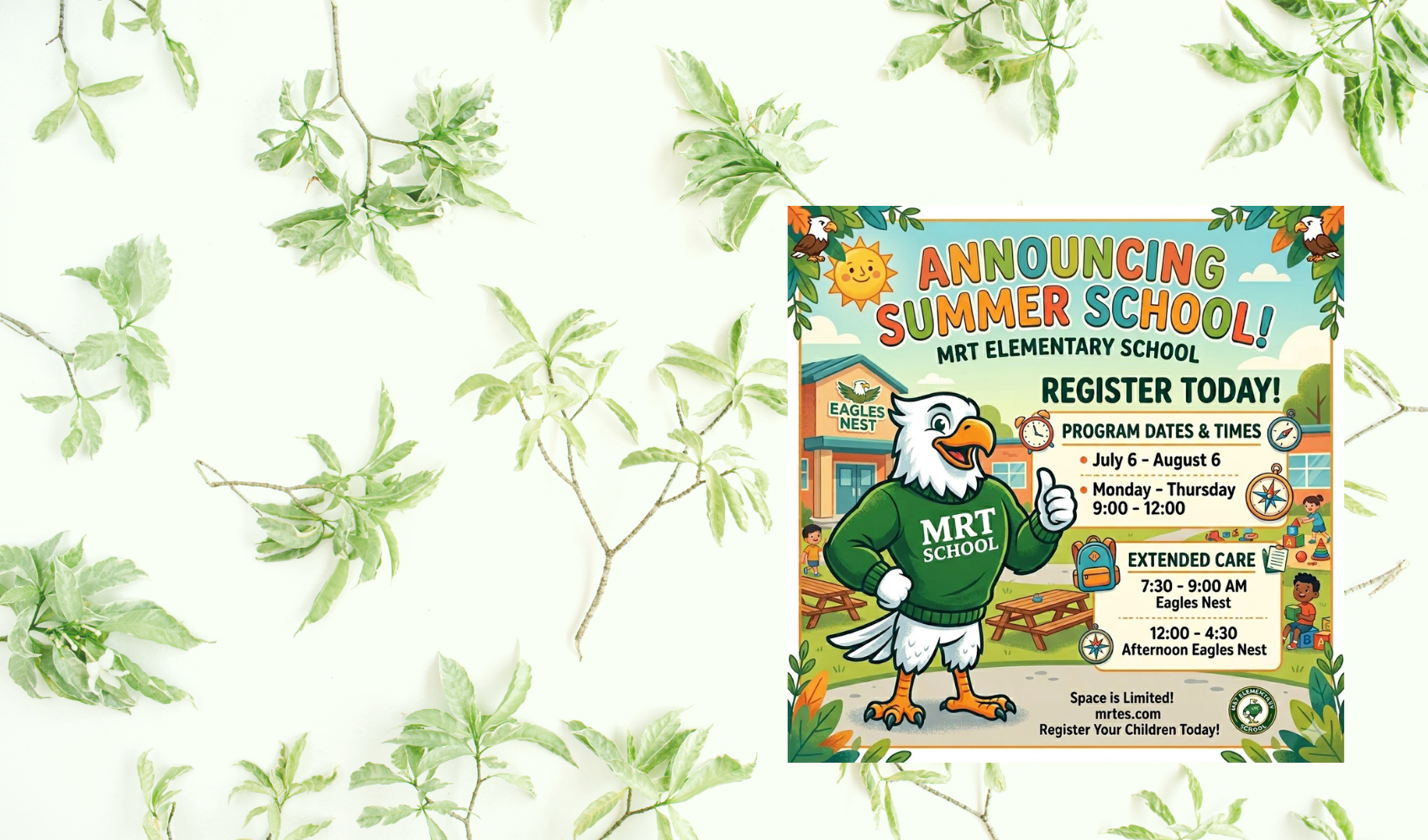 Summer Program  Flyer