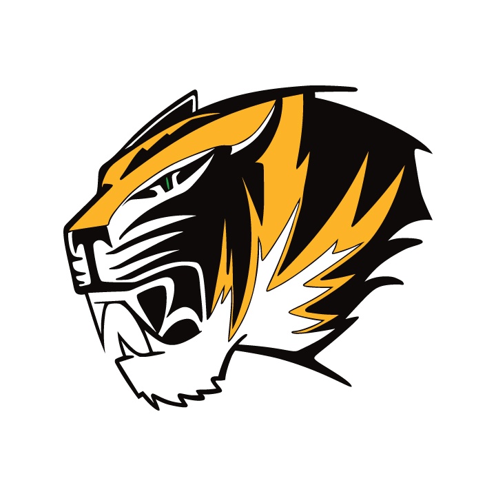 Tiger Mascot