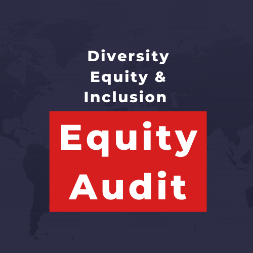 DEI Equity Audit logo