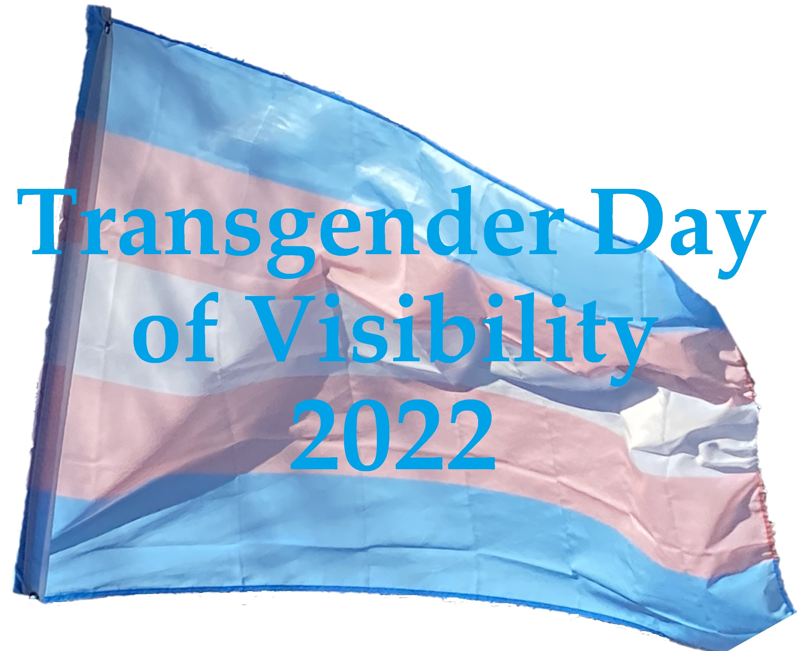 Trans Flag 2022