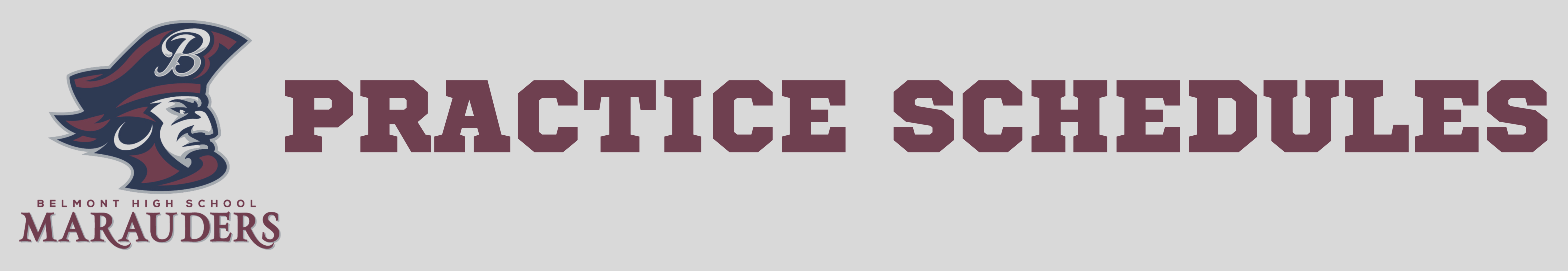 Practice Schedules