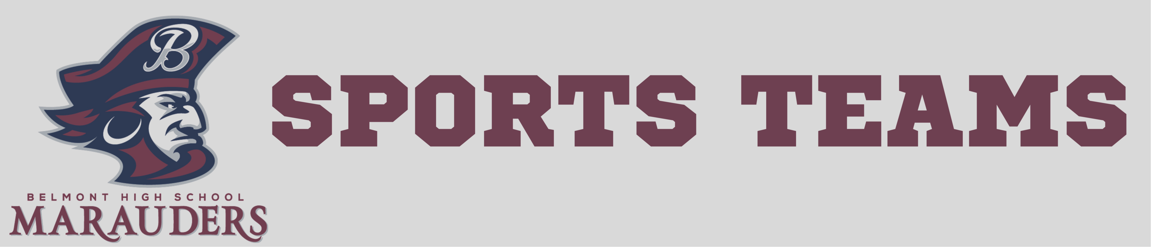BHS Sports Teams