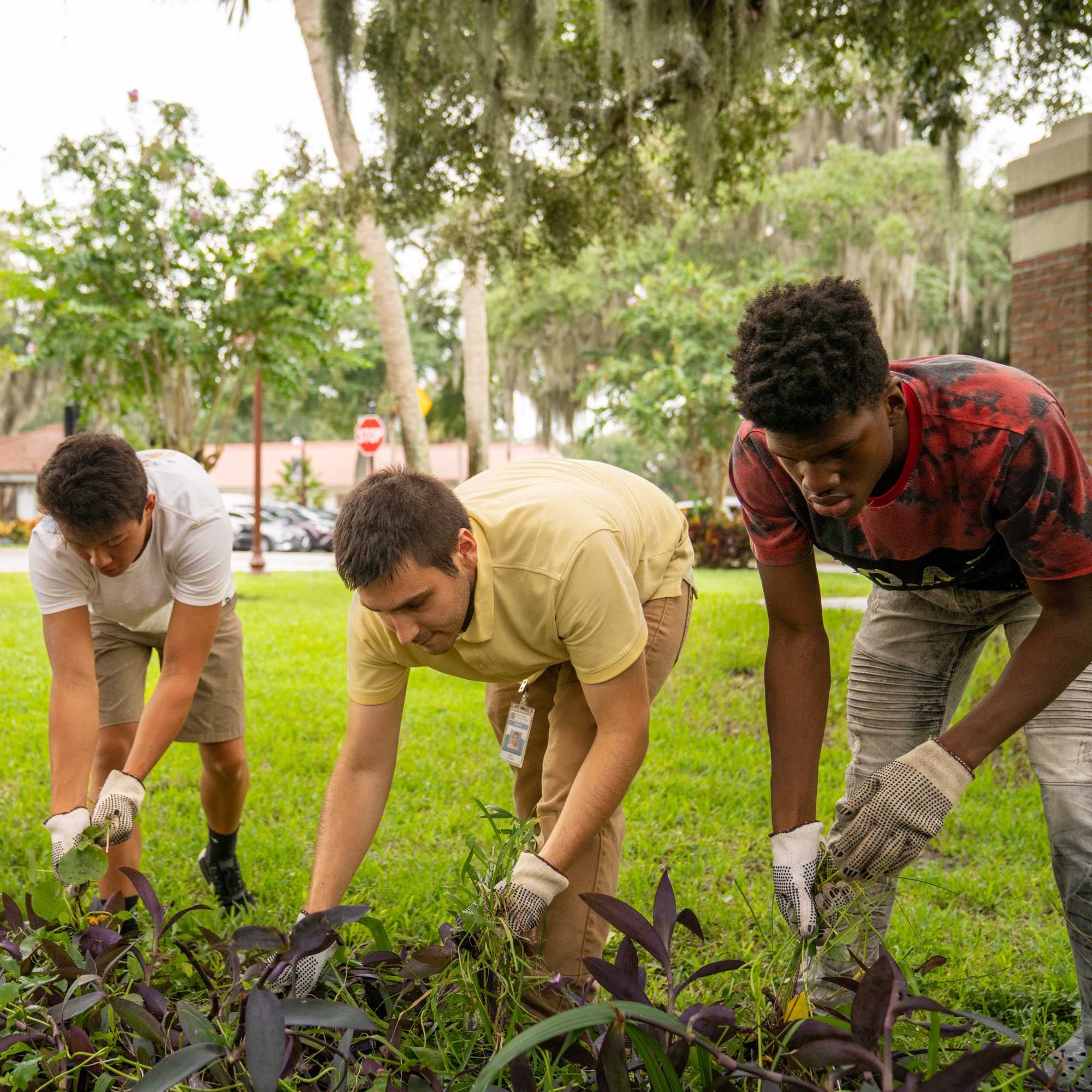 Students and Staff Gardening