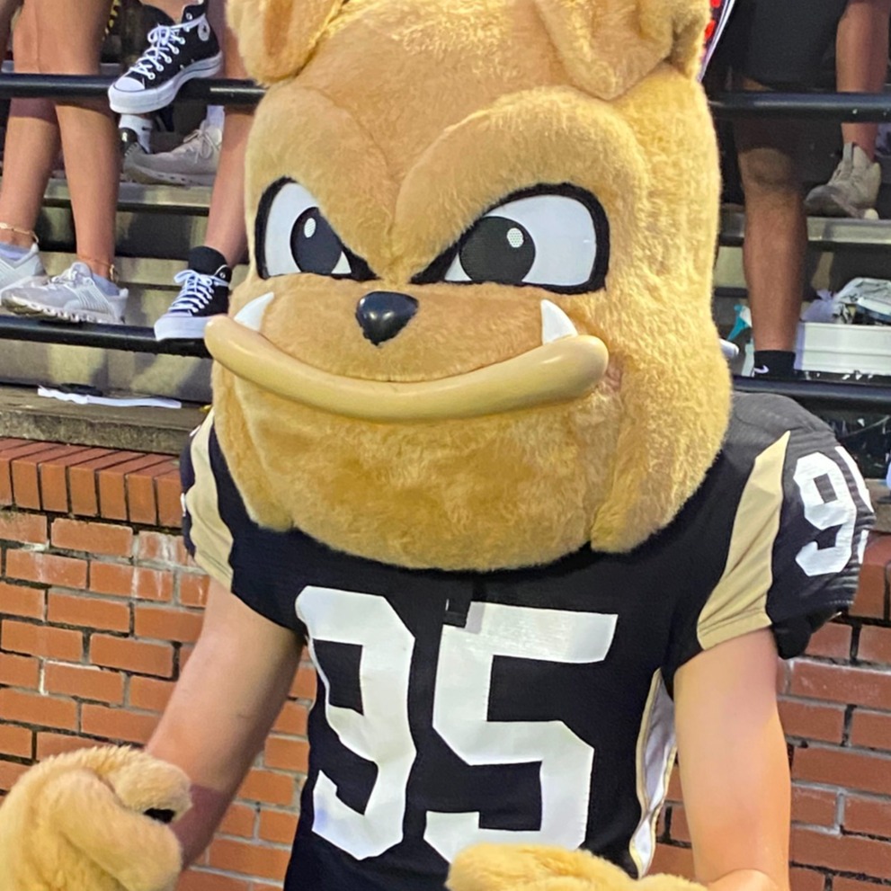 mascot