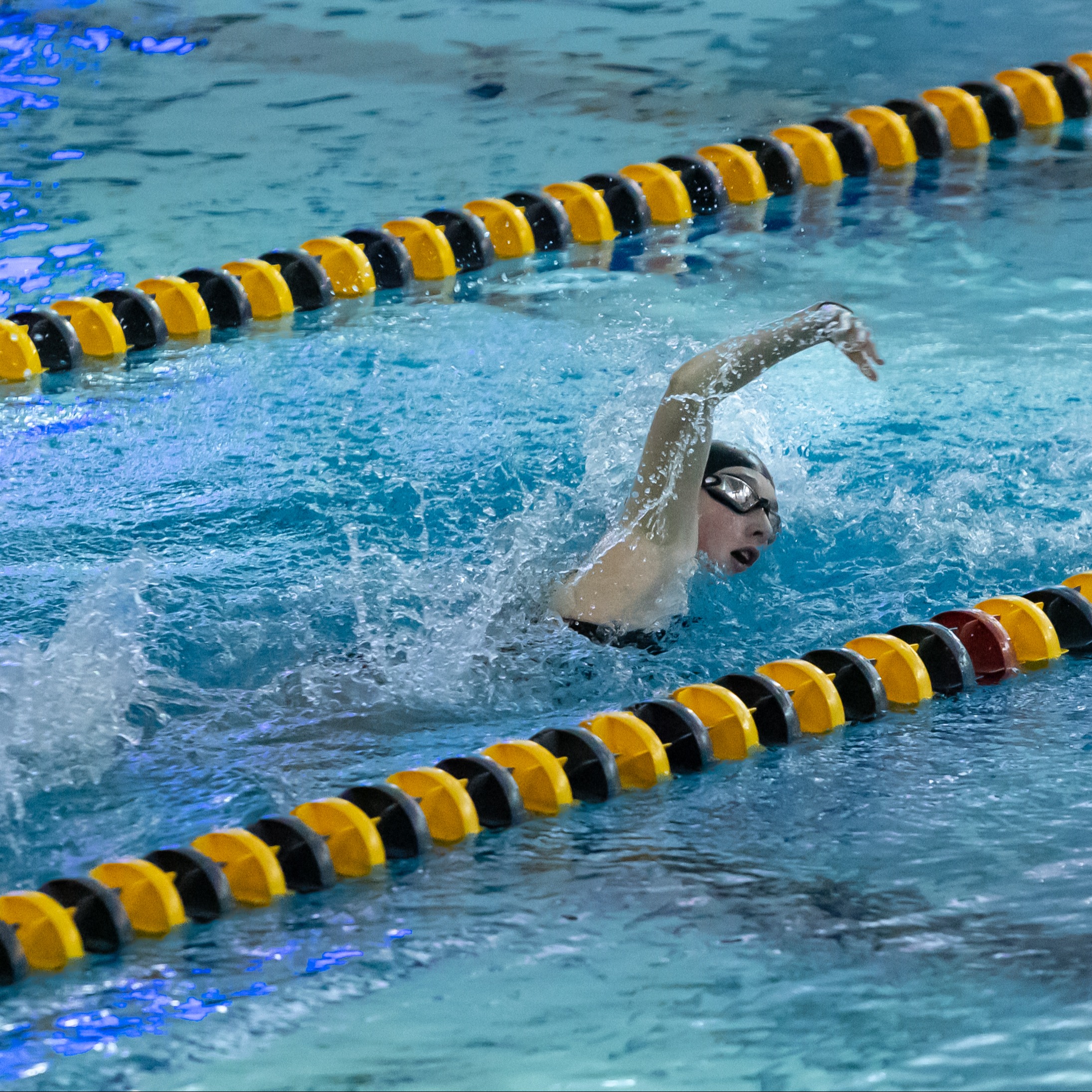 2024-2025 MP Swim Team