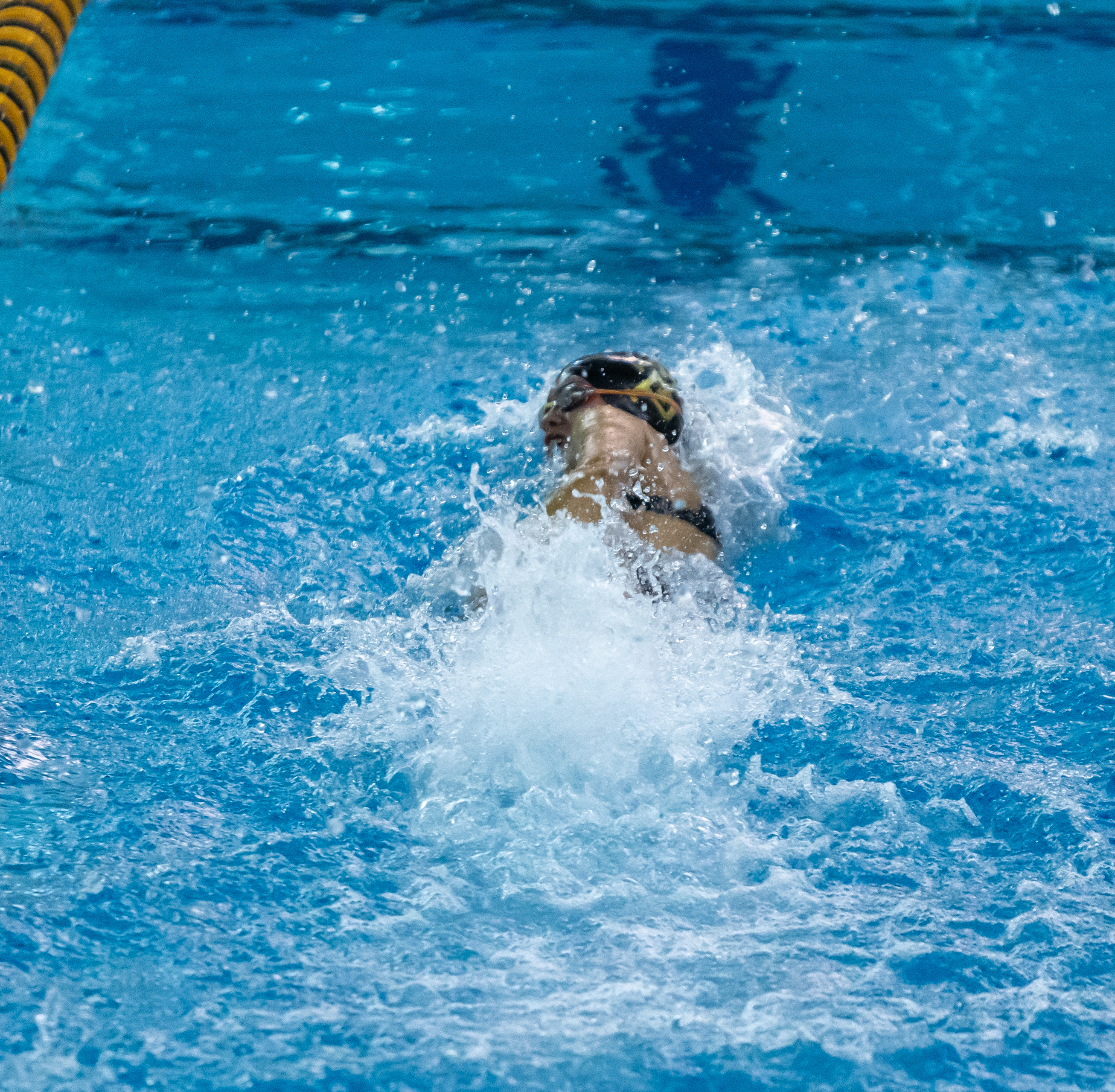 50 Free Event