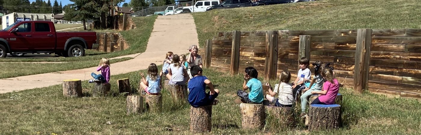 kids sitting on trees trunks