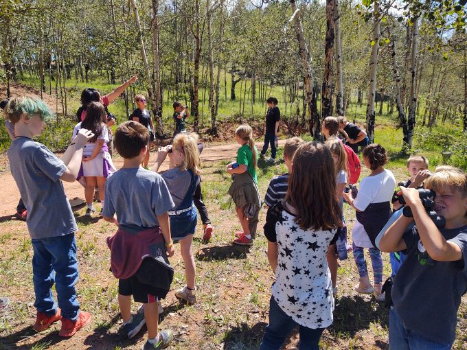 kids doing an activity at the wood 