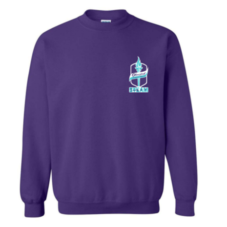 Purple Sweatshirt 