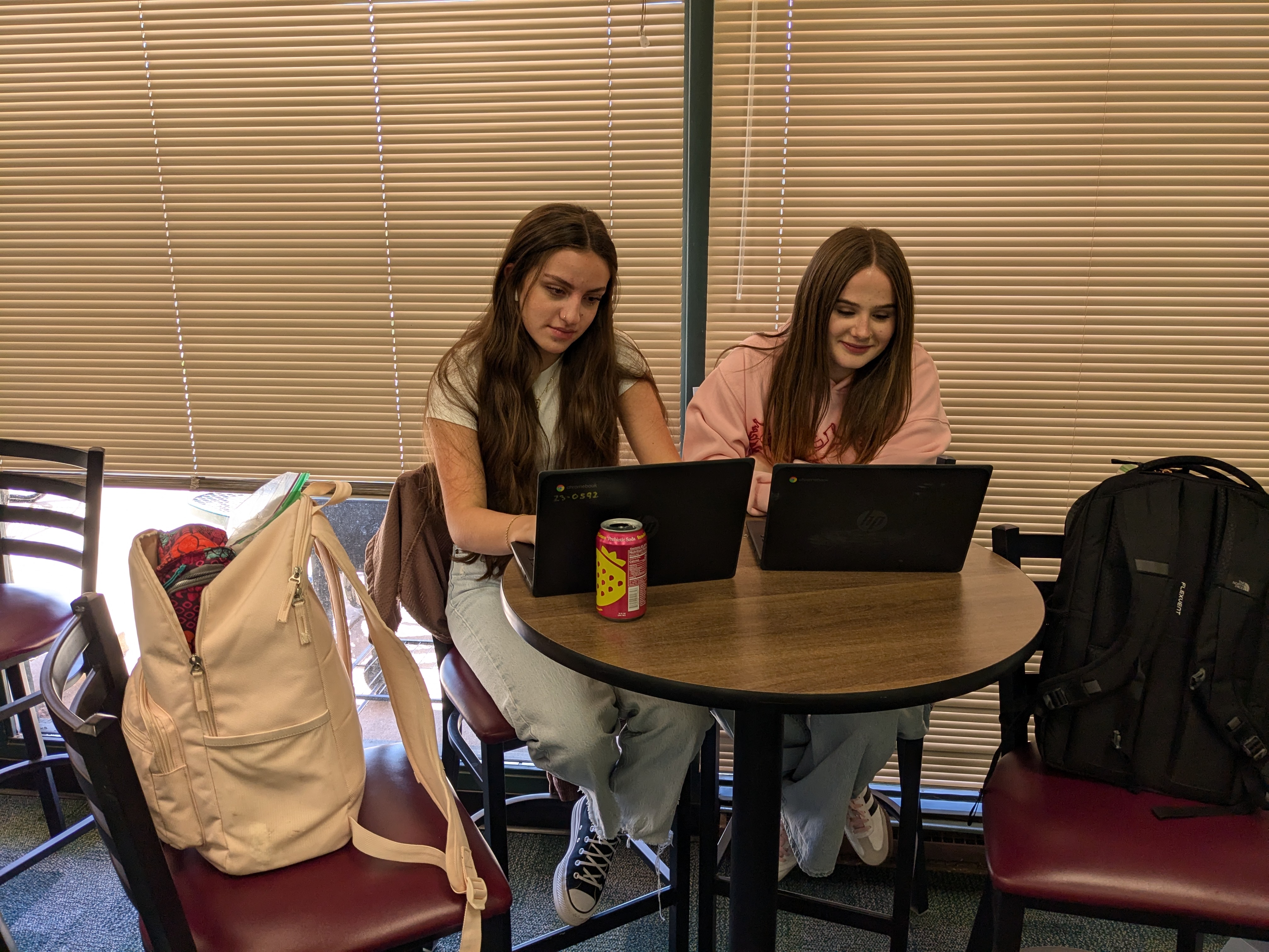 Two students studying at a table in the library