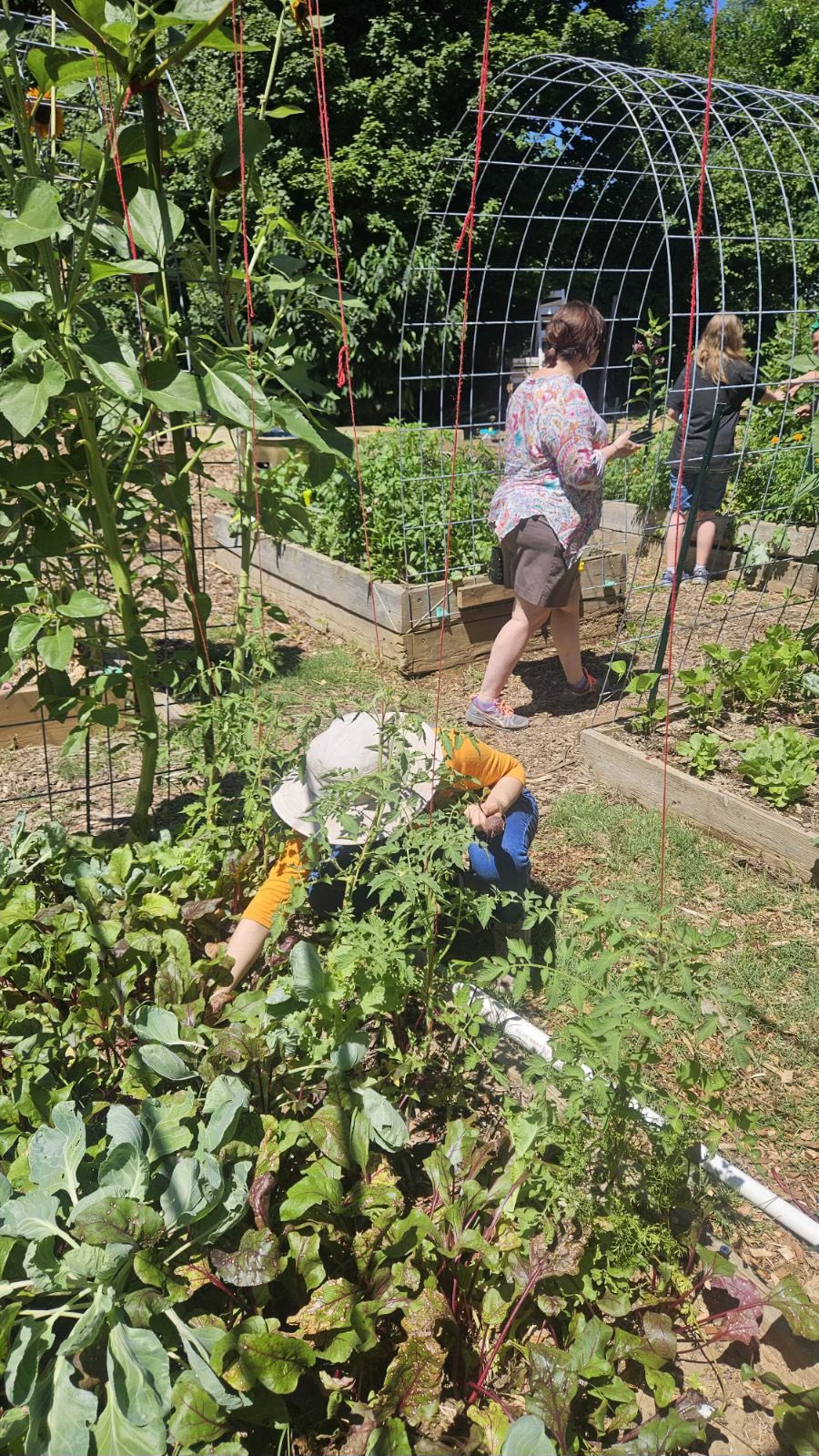 students working in the garden