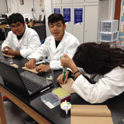 students doing experiments in the lab