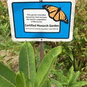 sign about monarch garden