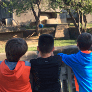 kids watching the zoo spot