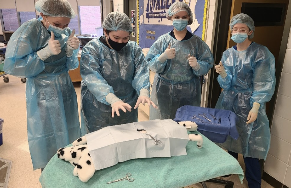 students practicing surgery with a simulator