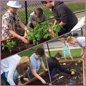 Kids working together to plant seeds in the community.