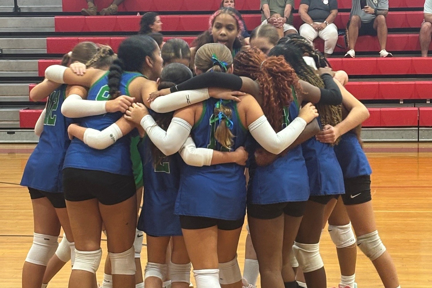 Volleyball team