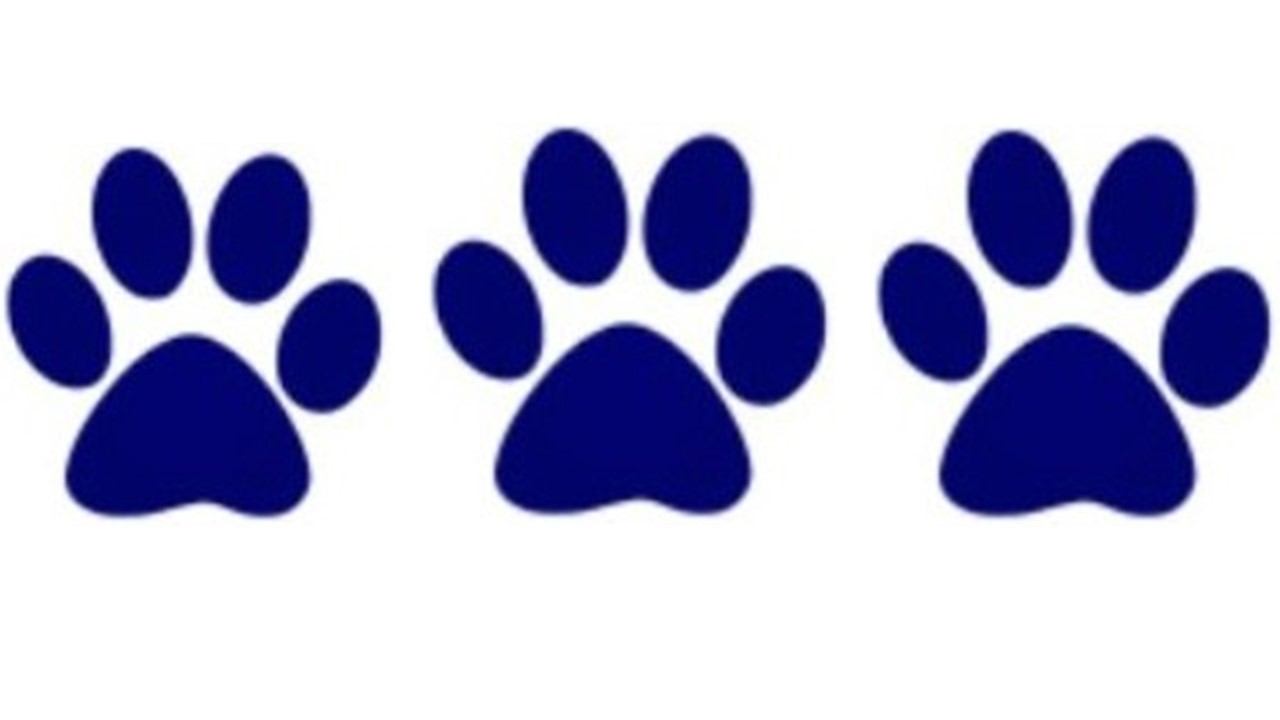 icon of 3 blue paws