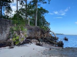 picture of a beach