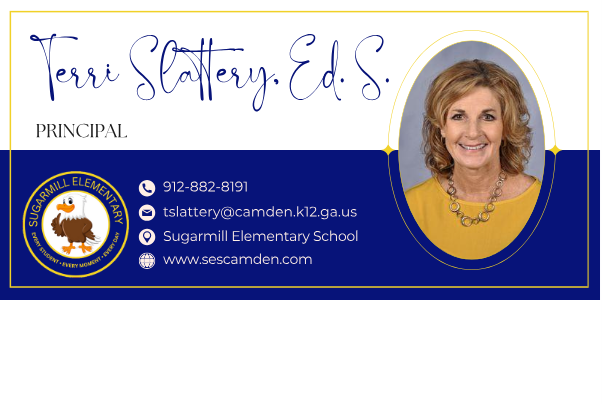 Terri Slattery